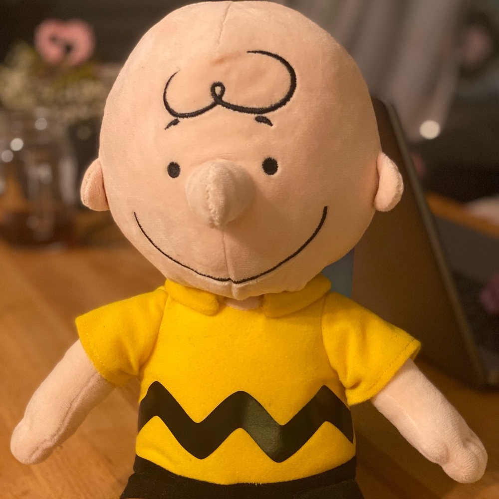 Charlie Brown plush stuffed animal